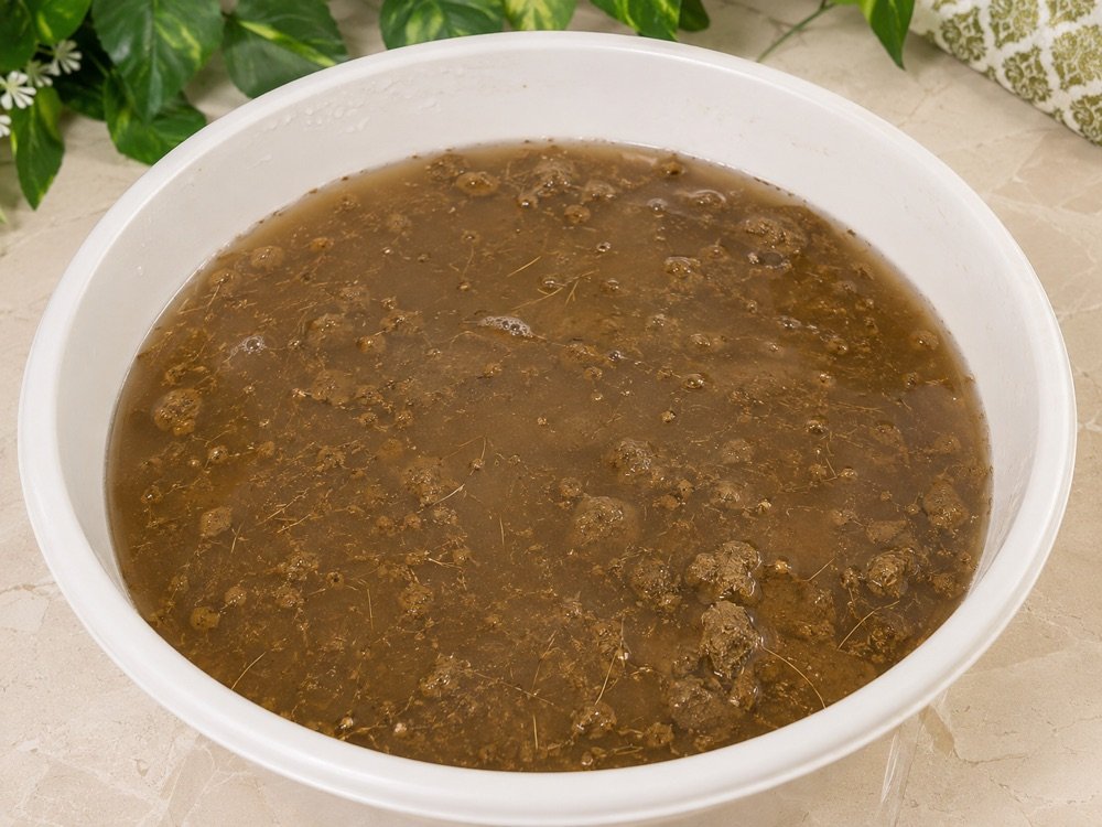 The idol fully dissolved into nutrient-rich water